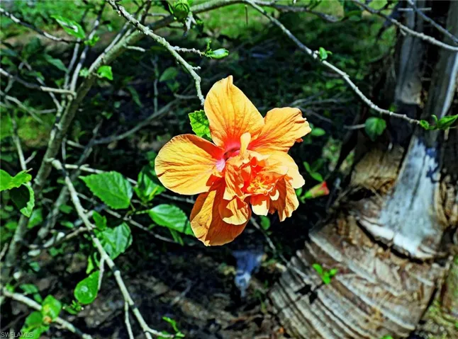 View of exterior details