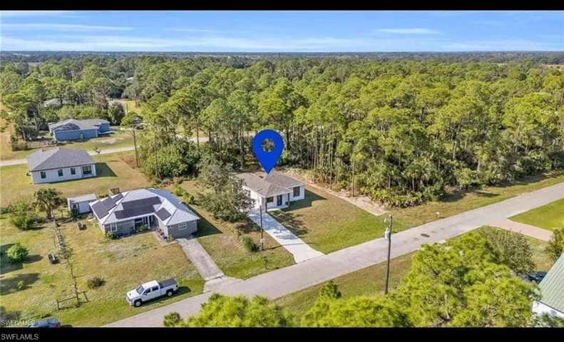 Bird's eye view of a forest