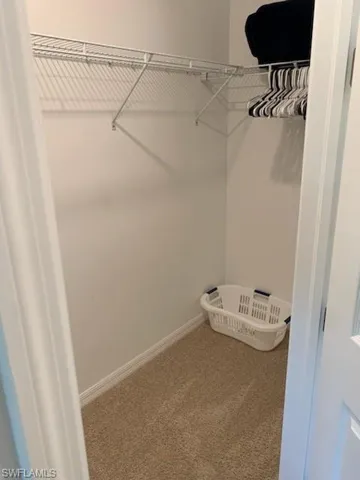 Spacious closet with carpet floors
