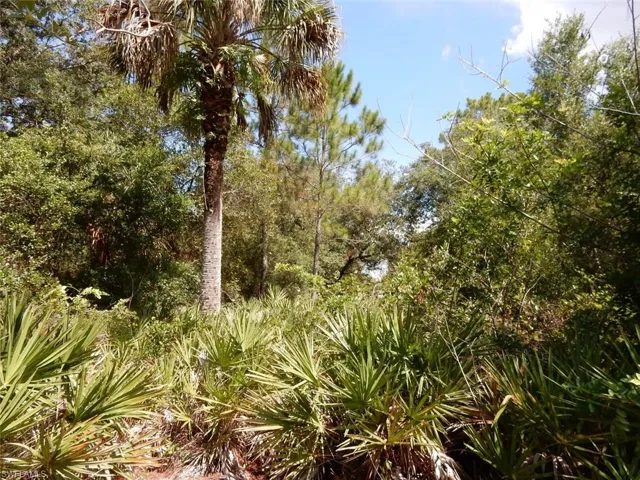 1515 Lincoln Ave, Lehigh Acres, Florida 33972