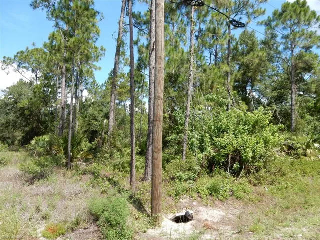 1515 Lincoln Ave, Lehigh Acres, Florida 33972