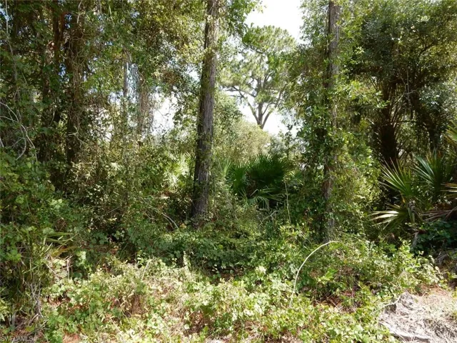 1515 Lincoln Ave, Lehigh Acres, Florida 33972
