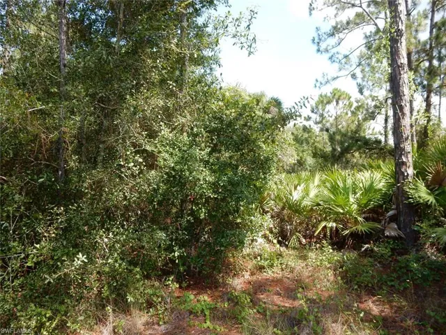1515 Lincoln Ave, Lehigh Acres, Florida 33972