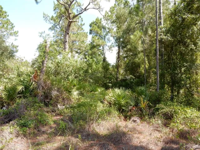 1515 Lincoln Ave, Lehigh Acres, Florida 33972