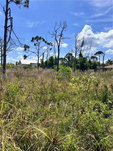 View of undeveloped land