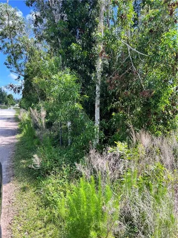 View of undeveloped land