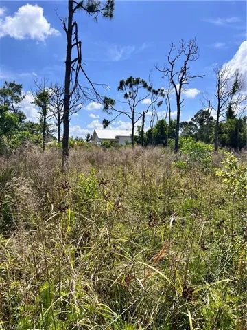 View of undeveloped land