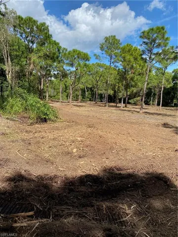 View of cleared land 2022