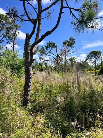 View of undeveloped land