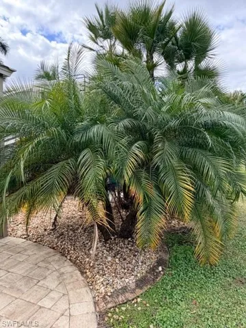 10329  Fire Flag  TRL, Fort Myers, FL 33905