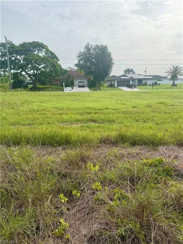 Expansive undeveloped lot featuring natural ground cover