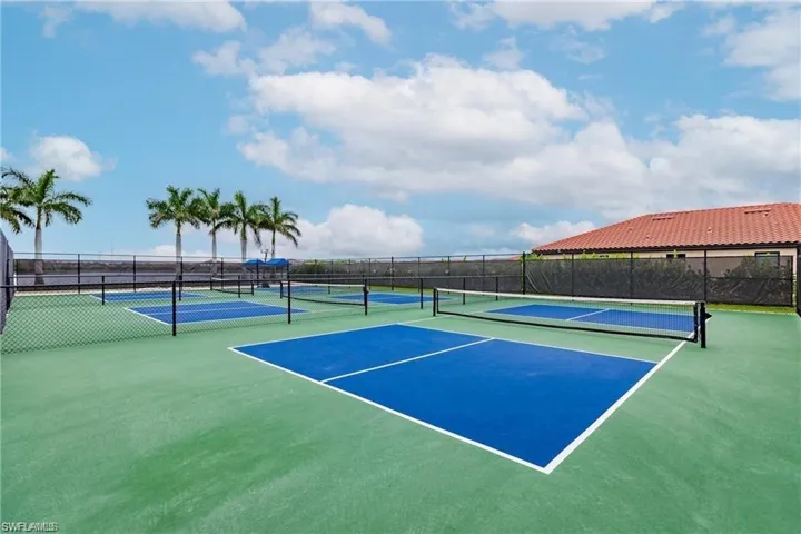 Pickleball Enthusiasts Dream Community