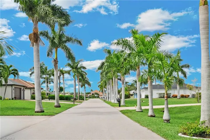 Look as this lovely Royal Palm Lined Road