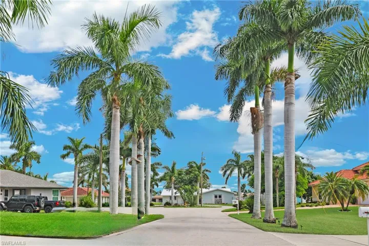 A beautiful royal palm lined neighborhood road