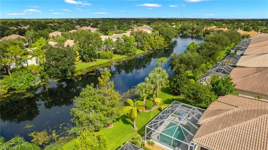 Great Backyard