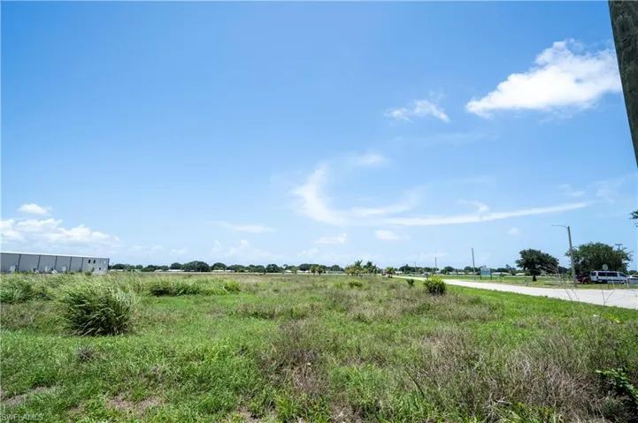 View of local wilderness with a rural view