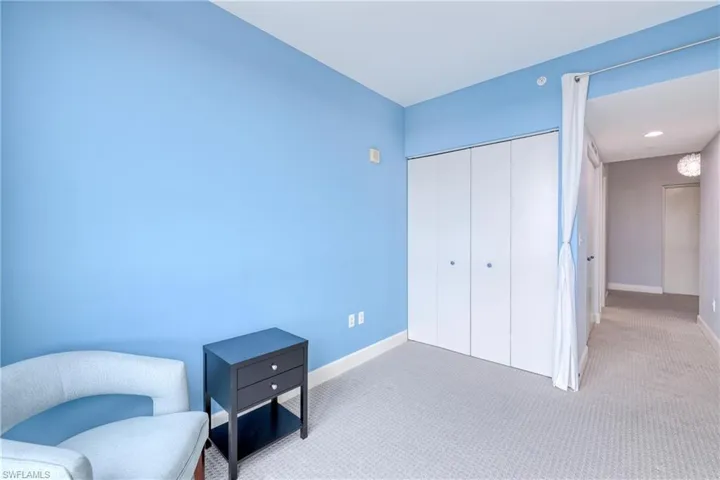 Den room featuring light colored carpet and closet