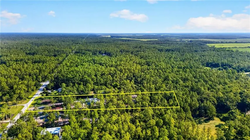 Expansive wooded lot offering substantial privacy