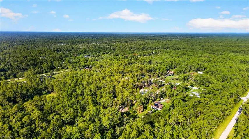 Expansive wooded landscape featuring a dense tree canopy and visible residential structures