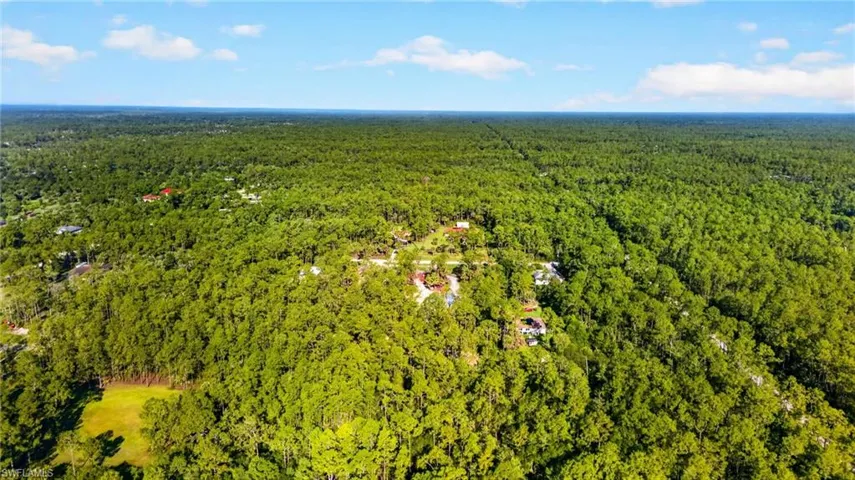 Expansive wooded landscape with scattered residential properties