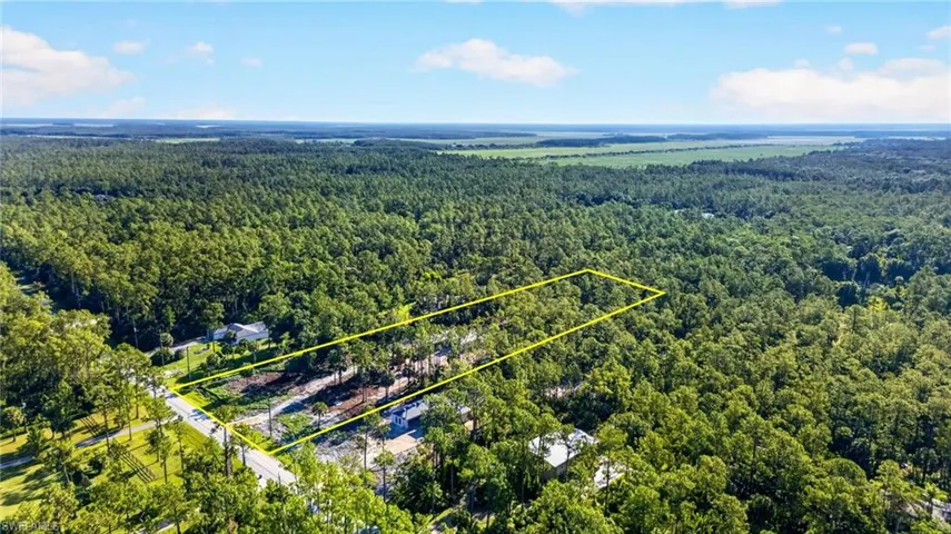 Expansive wooded parcel featuring mature trees, direct road frontage, and a partially cleared section