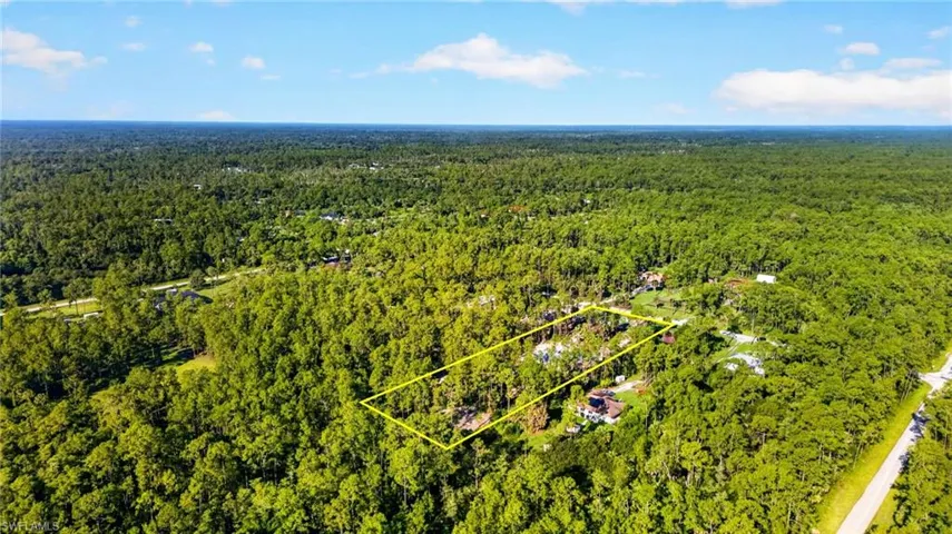 Expansive property outlined by a yellow border, surrounded by dense, mature trees