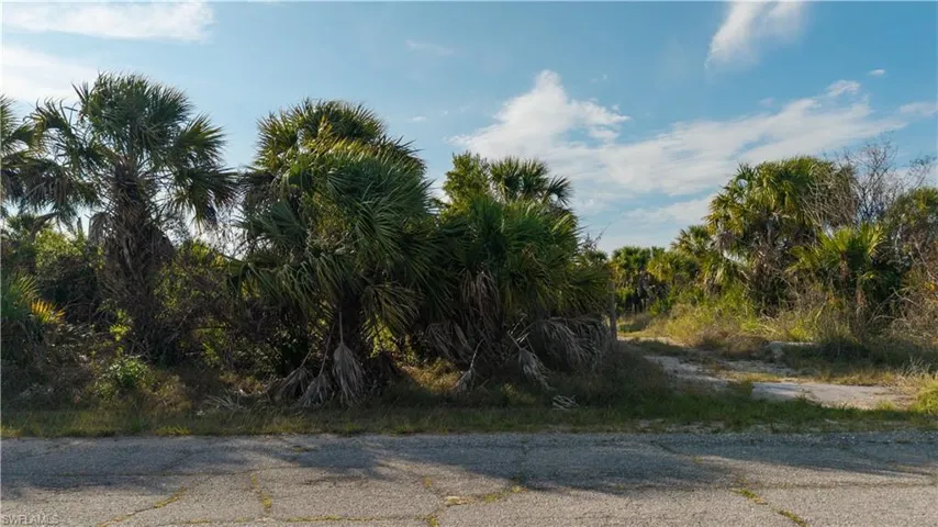 Whether you are looking to BUILD YOUR FOREVER HOME, a SEASONAL RETREAT, or INVEST FOR THE FUTURE, this property offers AMAZING POTENTIAL in one of SWFL’s most desirable growth areas!