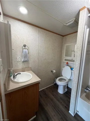 Bathroom with vanity, a textured ceiling, dark wood finished floors, and ornamental molding