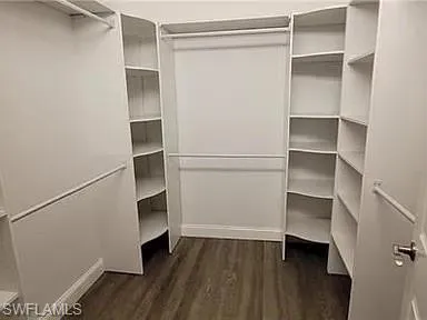 Walk in closet featuring dark wood-style floors