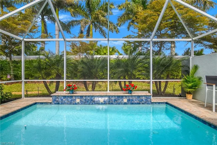 Swimming pool on the lanai