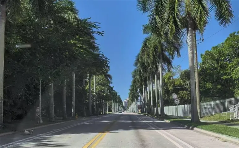 Palm Lined Streets