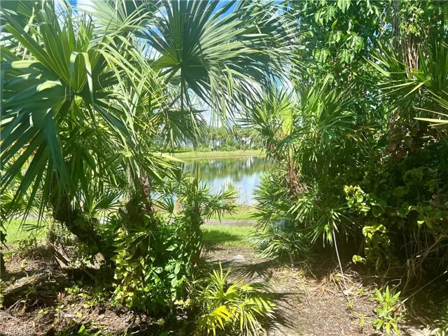 Water view