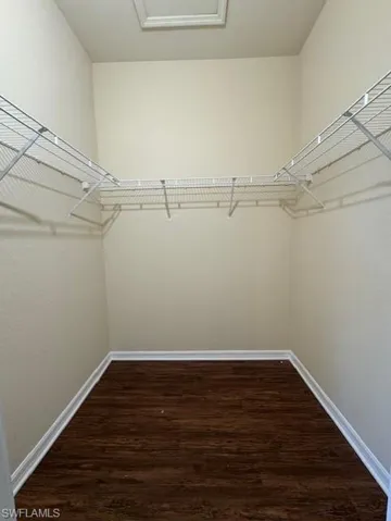 Spacious closet featuring dark wood-style floors