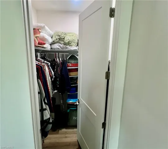Spacious closet with wood-type flooring