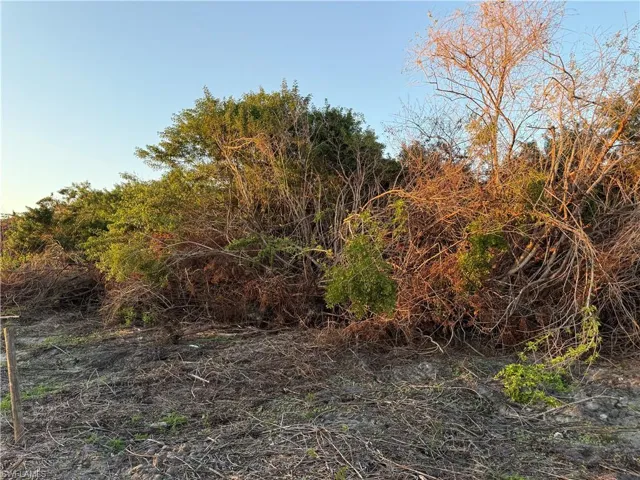 5801 4th Rd, Labelle, Florida 33935