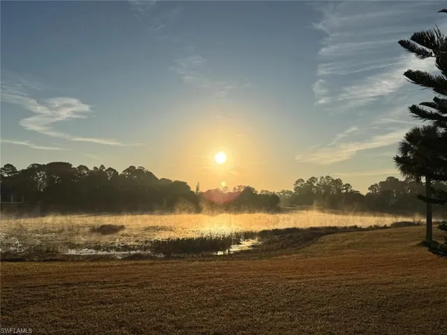 View of nature