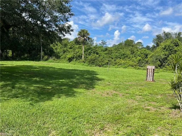 View of grassy yard