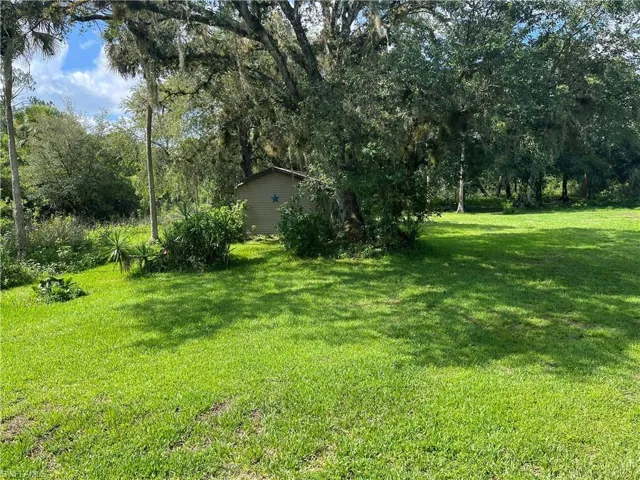 View of grassy yard