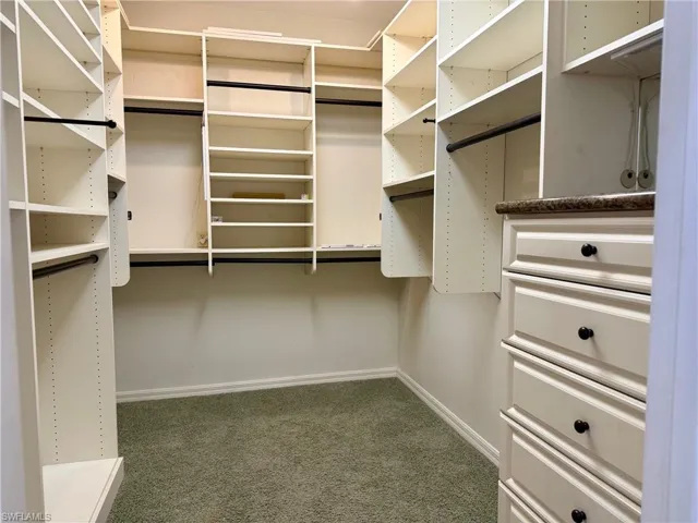 Spacious closet featuring carpet flooring
