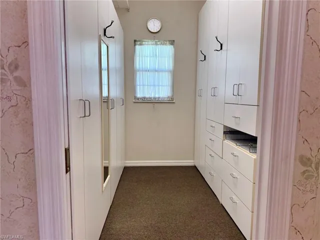 Spacious closet featuring dark carpet