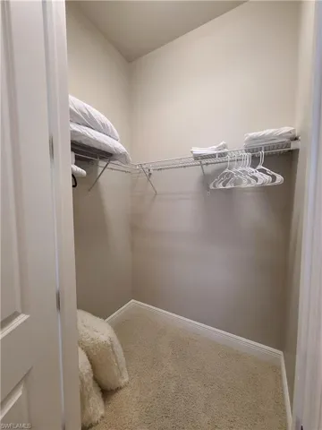 Walk in closet with carpet
