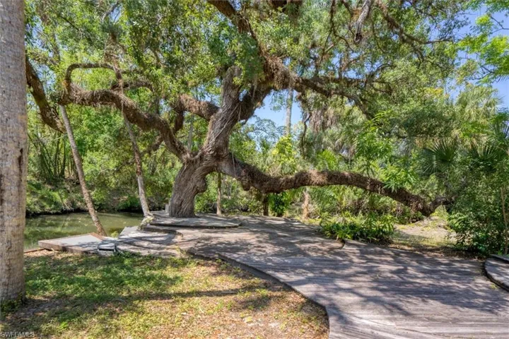 Mature Oak Tree Surrounded by Decking down to the Water.