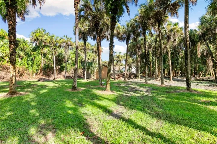 431  12th NW AVE, Naples, FL 34120