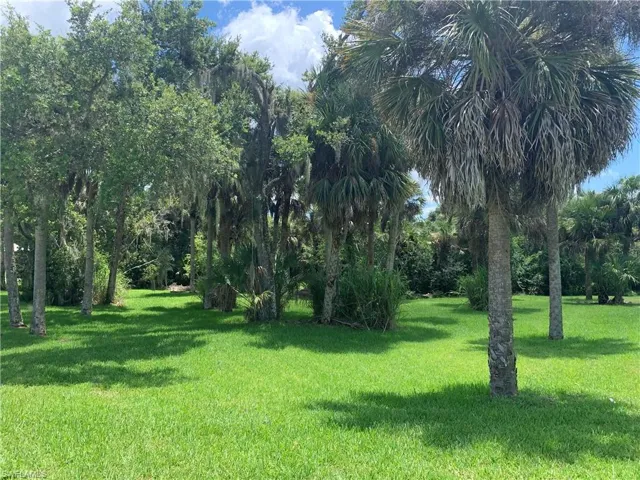 View of green lawn