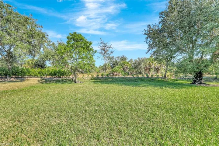 View of green lawn