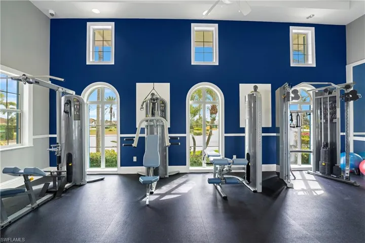 Exercise room with plenty of natural light, a towering ceiling, and baseboards