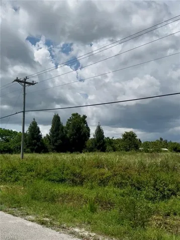 View from center of property towards the North of the property
