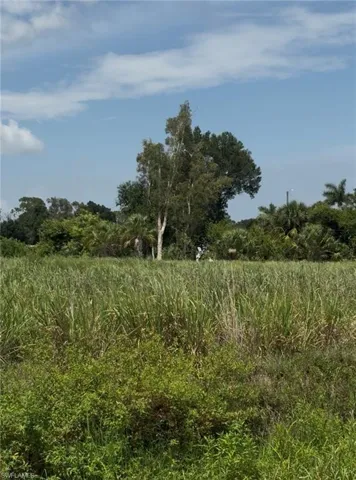 View of FL grasses and trees on property.