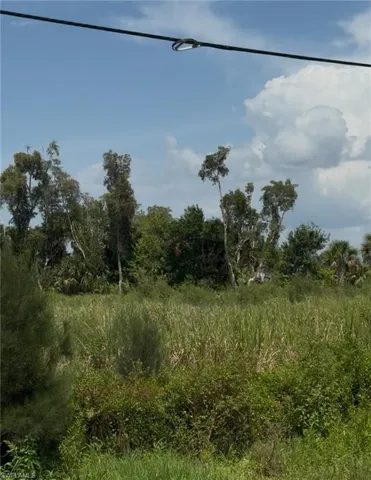 View of trees on prooerty
