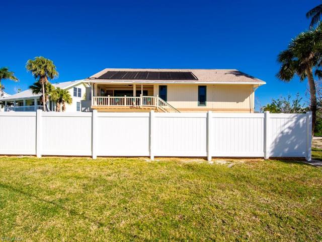 Backyard/Fence